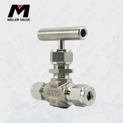 進(jìn)口波紋針型閥