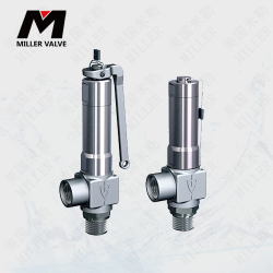 進口氫氣安全閥