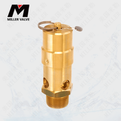 進口空壓機安全閥