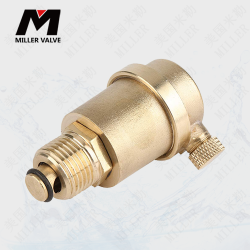 進(jìn)口微量排氣閥