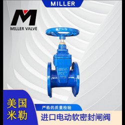 進(jìn)口電動(dòng)軟密封閘閥