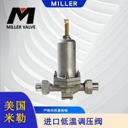進(jìn)口低溫調(diào)壓閥