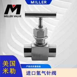進(jìn)口氫氣針閥