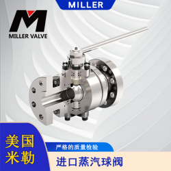進(jìn)口蒸汽球閥