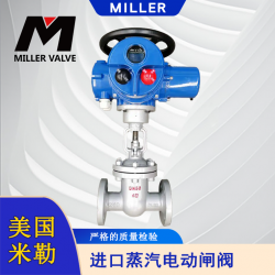 進(jìn)口蒸汽電動(dòng)閘閥