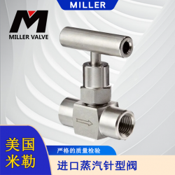 進(jìn)口蒸汽電動(dòng)針型閥