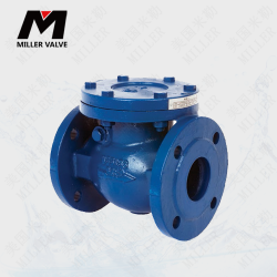 進(jìn)口止回閥