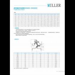 進口定流量多功能閥