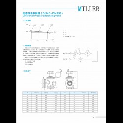 進口動態(tài)壓差平衡閥DN40