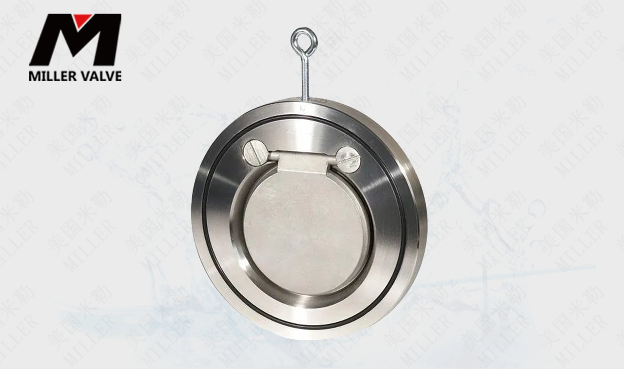 進(jìn)口對夾式止回閥