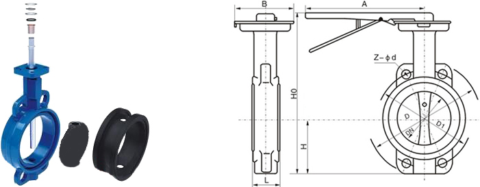 進(jìn)口襯膠蝶閥尺寸圖