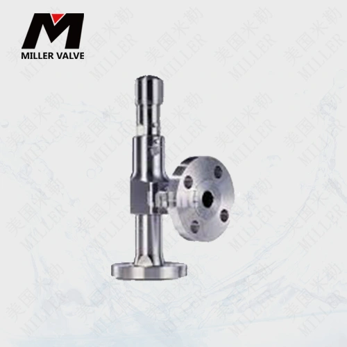 進(jìn)口低溫安全閥