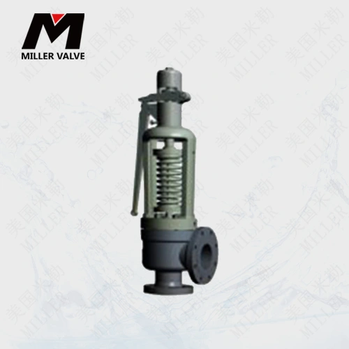 進(jìn)口蒸汽安全閥