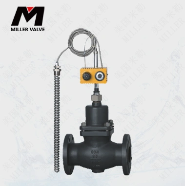 進口帶指揮器壓力調(diào)節(jié)閥