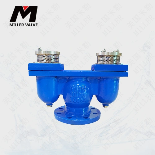 進口雙口排氣閥