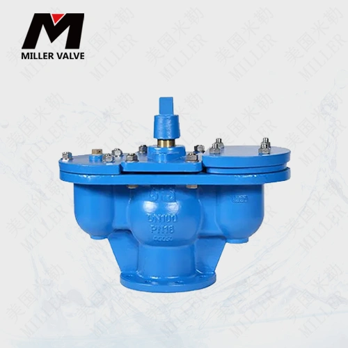 進口防水錘空氣閥