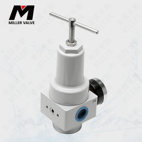 進(jìn)口減壓閥