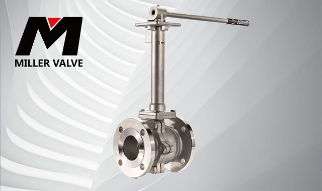 進(jìn)口氮?dú)馇蜷y