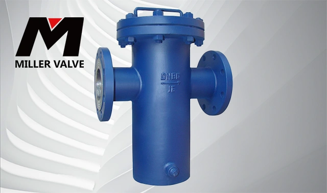 進口籃式過濾器