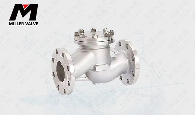 進(jìn)口電站止回閥