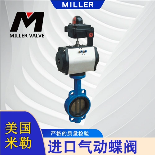 進(jìn)口氣動(dòng)蝶閥