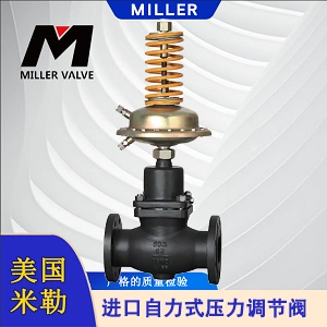 進(jìn)口自力式壓力調(diào)節(jié)閥